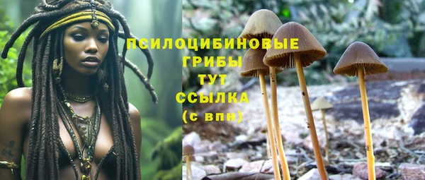 скорость Абинск