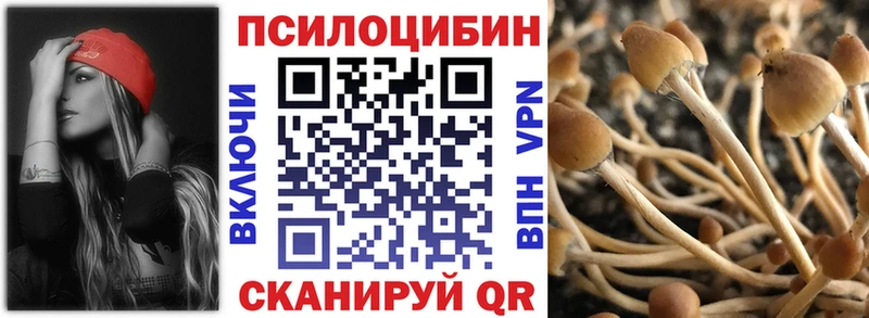 как найти shop наркотические препараты Галлюциногенные грибы Cubensis Томилино